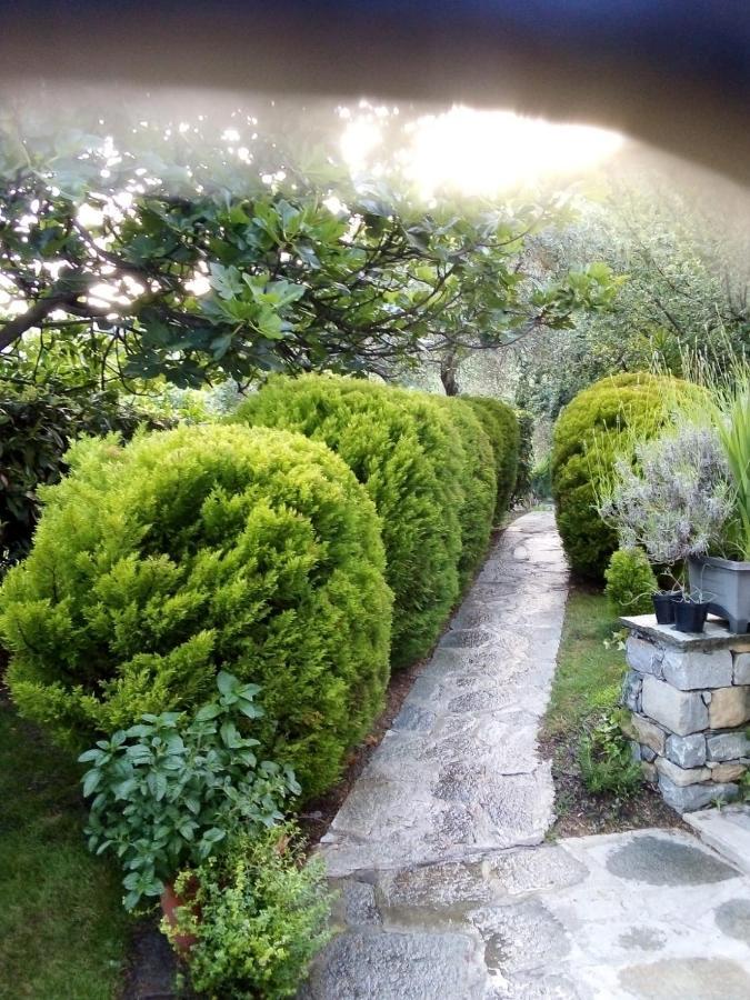 Casa Sylviane Villa Pietrabruna Dış mekan fotoğraf